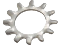 External Tooth Lock Washer External Tooth Lock Washer